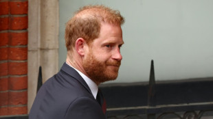 Justiça nega recurso de príncipe Harry para manter sua proteção policial no Reino Unido