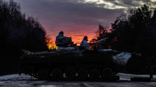 Bundesregierung ruft Deutsche zum Verlassen der Ukraine auf