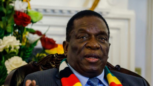 Storm brews over Zimbabwe presidential extension plan