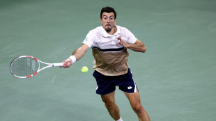 Zu fr&uuml;h gefreut: Ofner jubelt und verliert