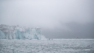 Il disgelo tinge di blu uno dei pi&ugrave; grandi e longevi iceberg al mondo