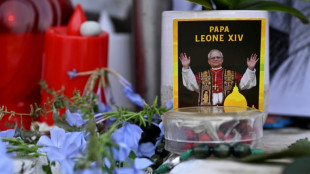 Le pape de retour au Vatican quatre jours apr&egrave;s son op&eacute;ration au poumon