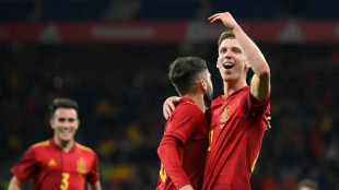 Joker Olmo schie&szlig;t Spanien zum Sieg gegen Albanien