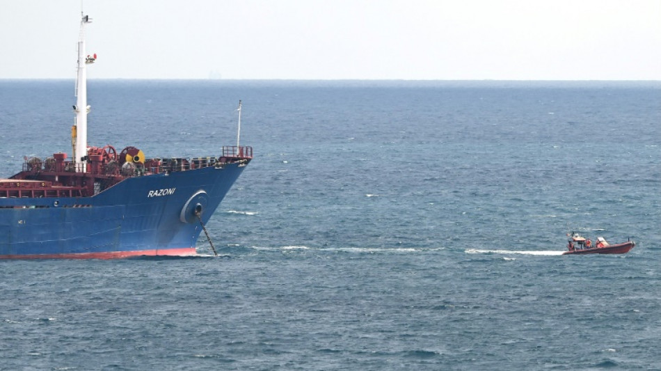 Ukraine: inspection du premier chargement de c&eacute;r&eacute;ales pr&egrave;s d'Istanbul