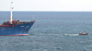 Ukraine: inspection du premier chargement de c&eacute;r&eacute;ales pr&egrave;s d'Istanbul