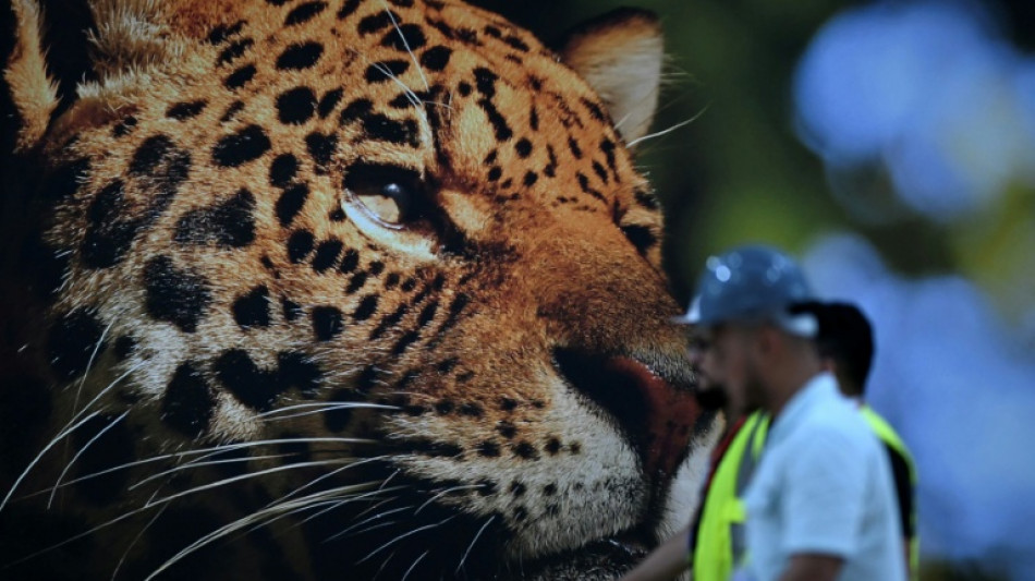 "Las herramientas están listas" para movilizar 1,3 billones de dólares en financiación climática, según un informe de la COP