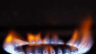 Il gas apre in rialzo ad Amsterdam (+0,7%), nel 2025 ha perso il 43%