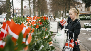 US embassy angers Danish veterans by removing flags 