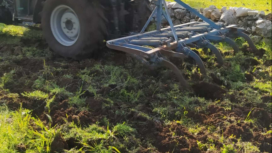 Corte Conti, nel 2022-23 segnalate frodi in agricoltura per 137 milioni