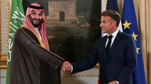 Saudi Arabia to invest $7 bn in theme parks near Paris