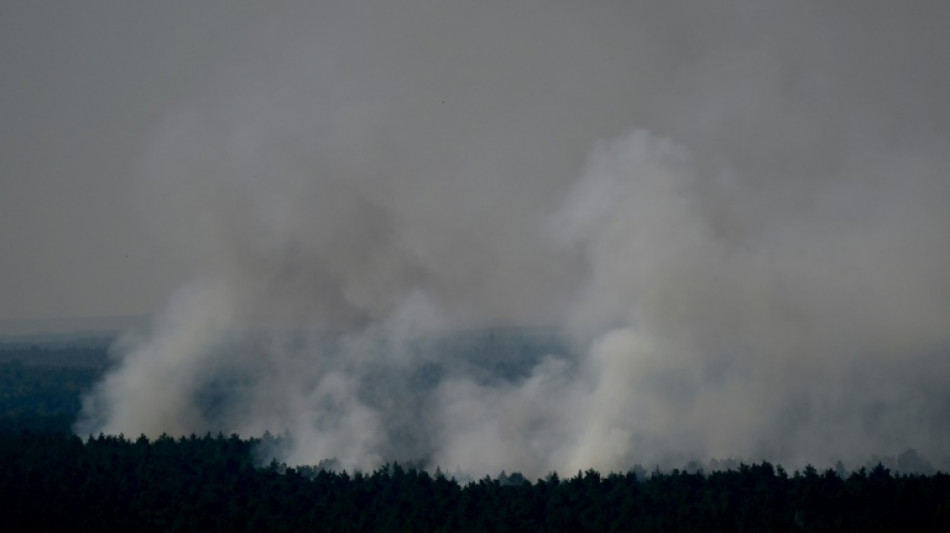 Berliner Feuerwehr wegen Brands im Grunewald im Gro&szlig;einsatz