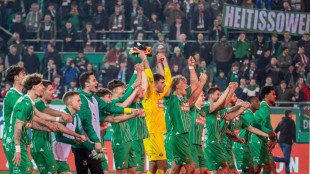 Harte Strafen f&uuml;r Rapid nach Eklat im Wiener Derby