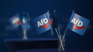 Sachsens Gr&uuml;nen-Fraktion f&uuml;r Richteranklage in Fall von Ex-AfD-Abgeordnetem Maier