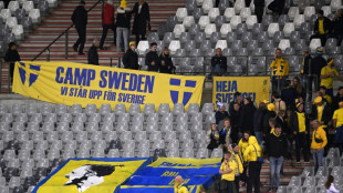 Foot: le match Belgique-Su&egrave;de arr&ecirc;t&eacute; apr&egrave;s l'attentat &agrave; Bruxelles (UEFA)